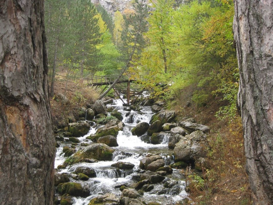 milli park, ülkemizdeki milli parklar, türkiye milli parklar, türkiye
