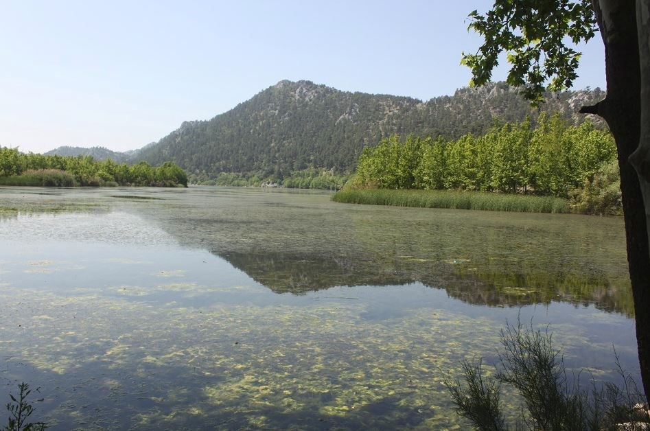 milli park, ülkemizdeki milli parklar, türkiye milli parklar, türkiye