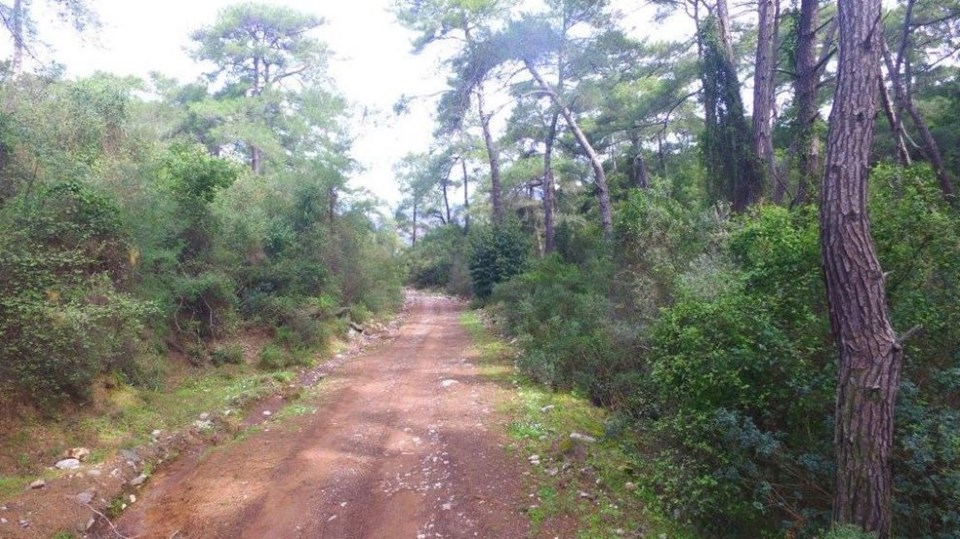milli park, ülkemizdeki milli parklar, türkiye milli parklar, türkiye