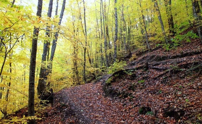 milli park, ülkemizdeki milli parklar, türkiye milli parklar, türkiye