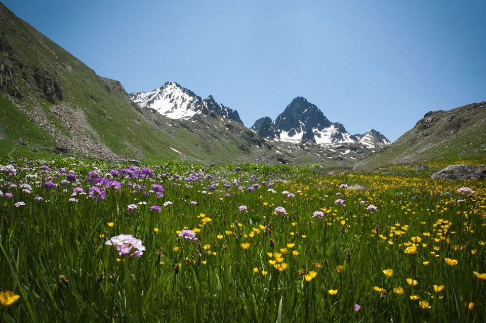 milli park, ülkemizdeki milli parklar, türkiye milli parklar, türkiye'nin milli parkları, türkiye milli parklar listesi, türkiyedeki milli parklar 2018, türkiye'deki milli parklar haritası