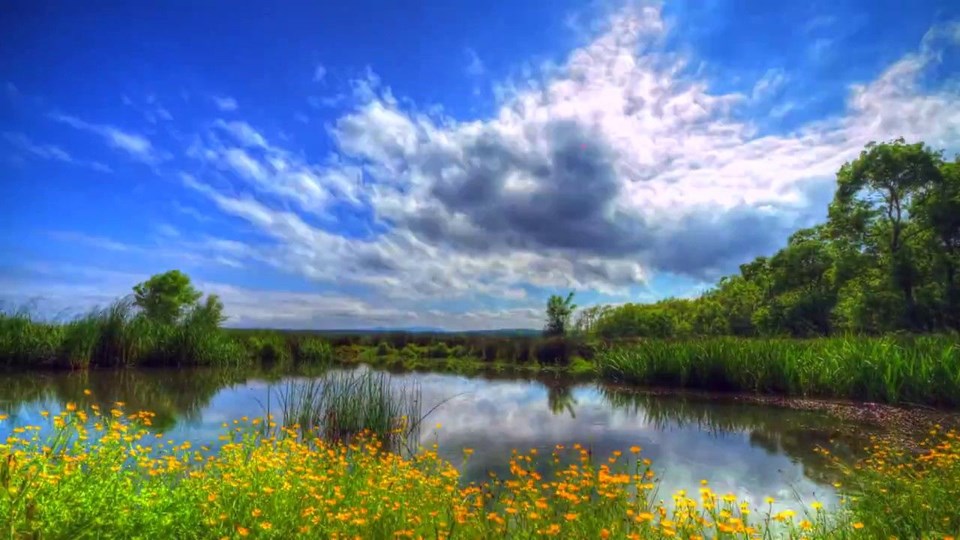 milli park, ülkemizdeki milli parklar, türkiye milli parklar, türkiye'nin milli parkları, türkiye milli parklar listesi, türkiyedeki milli parklar 2018, türkiye'deki milli parklar haritası
