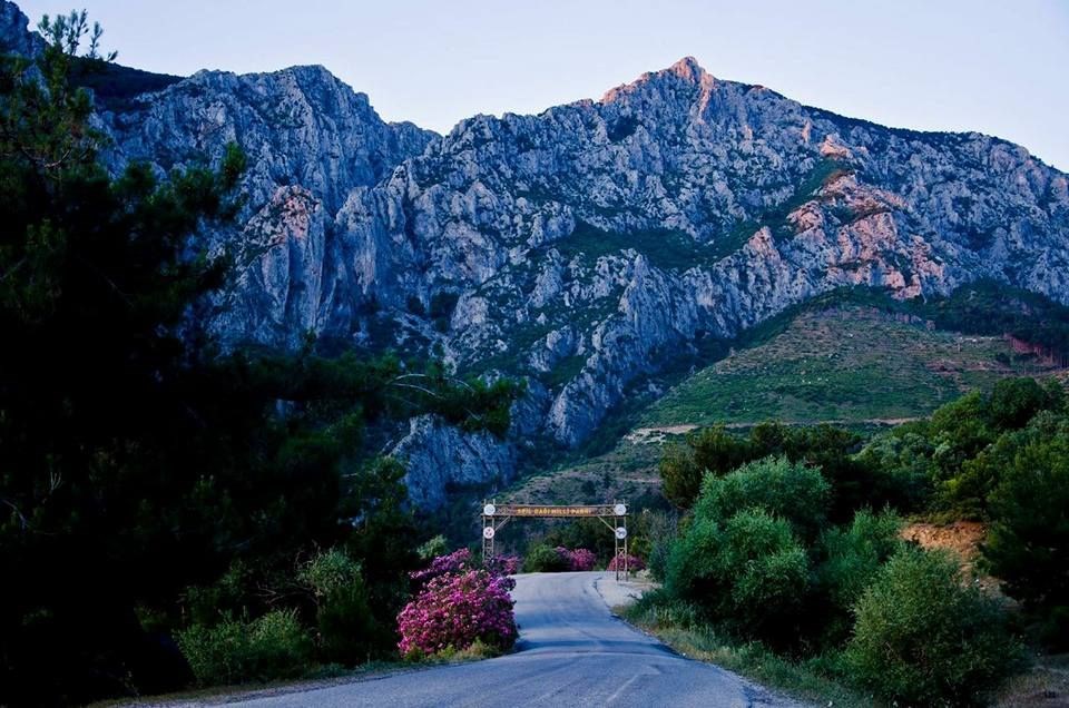 milli park, ülkemizdeki milli parklar, türkiye milli parklar, türkiye