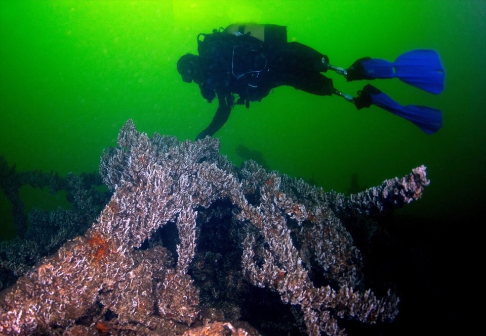 sualtı turizmi, türkiye'nin dalış merkezleri, deniz tatili, serbest dalış, kaş'ta dalış, dünyanın en iyi serbest dalış merkezi