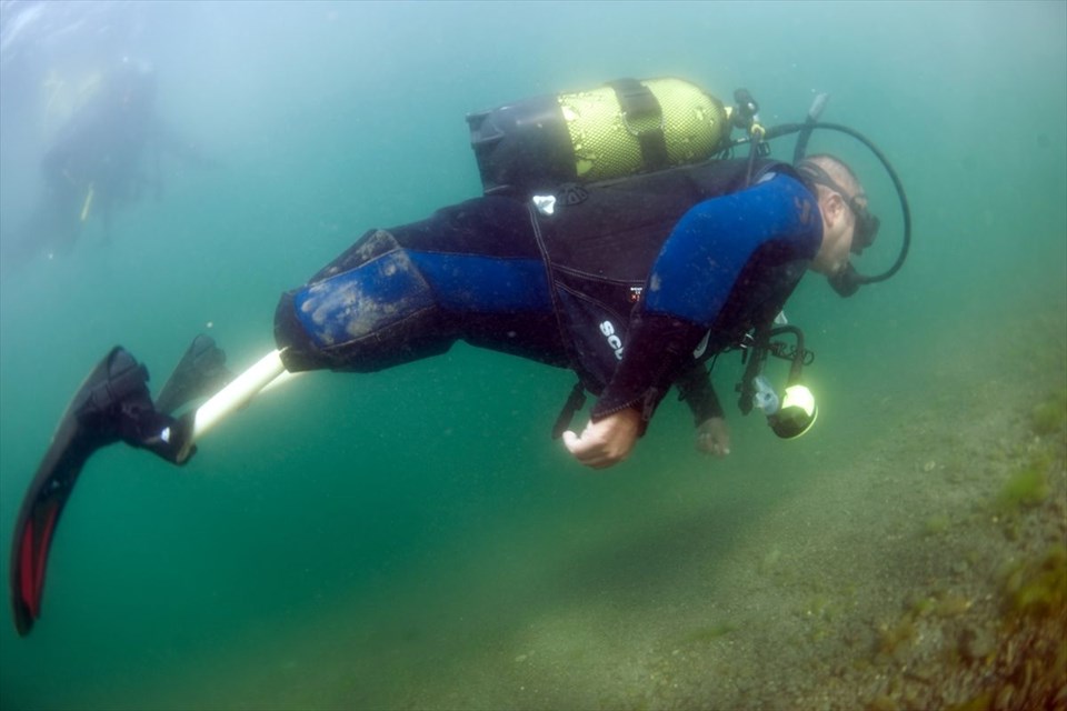 sualtı turizmi, türkiye'nin dalış merkezleri, deniz tatili, serbest dalış, kaş'ta dalış, dünyanın en iyi serbest dalış merkezi