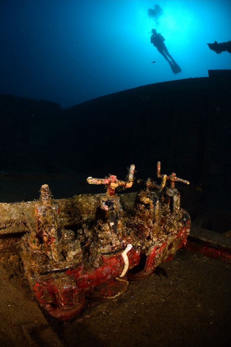 sualtı turizmi, türkiye'nin dalış merkezleri, deniz tatili, serbest dalış, kaş'ta dalış, dünyanın en iyi serbest dalış merkezi