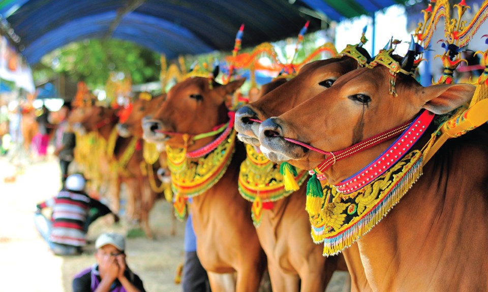 ülkelere özgü görgü kuralları, farklı kültürlere ait kurallar, farklı görgü kuralları