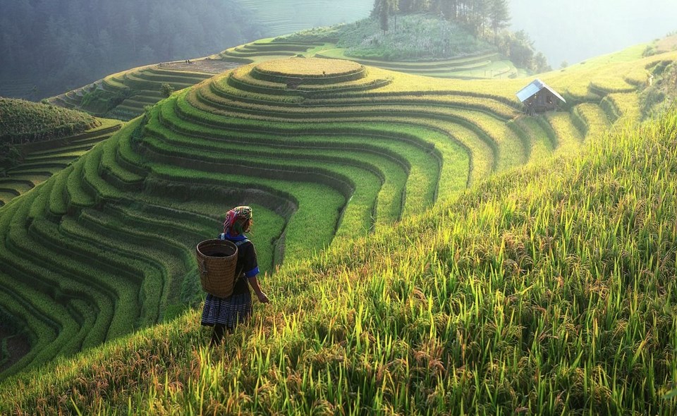 uzakdoğu, tayland, vietnam, filipinler, japonya, çin, guneykore