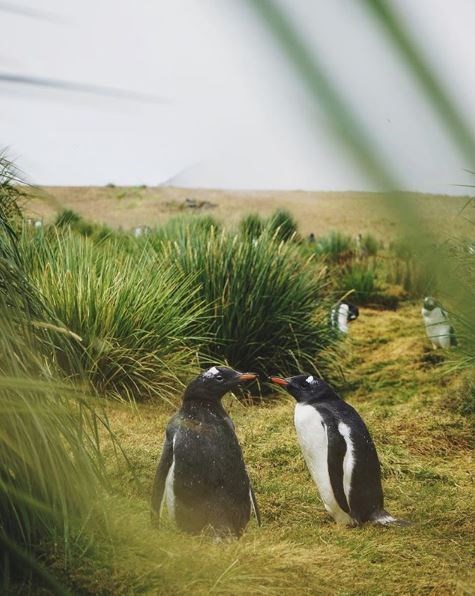 barkın özdemir, dünya turu, gezgin, türk gezginler, antarktika, antarktika gezisi, kitlesel fonlama