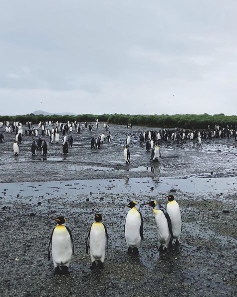 barkın özdemir, dünya turu, gezgin, türk gezginler, antarktika, antarktika gezisi, kitlesel fonlama