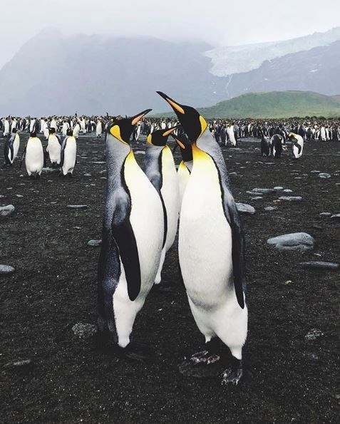 barkın özdemir, dünya turu, gezgin, türk gezginler, antarktika, antarktika gezisi, kitlesel fonlama