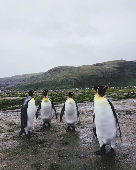 barkın özdemir, dünya turu, gezgin, türk gezginler, antarktika, antarktika gezisi, kitlesel fonlama