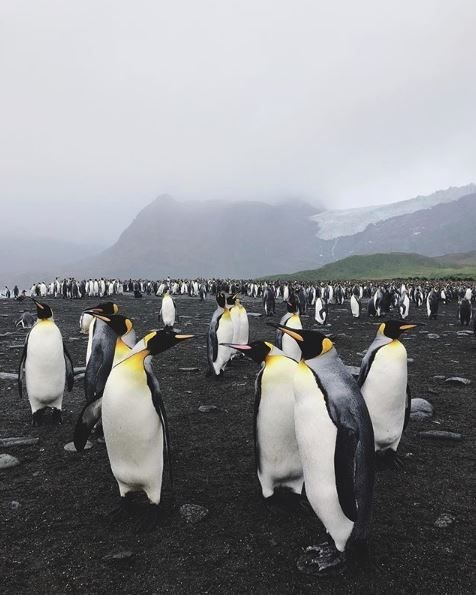 barkın özdemir, dünya turu, gezgin, türk gezginler, antarktika, antarktika gezisi, kitlesel fonlama
