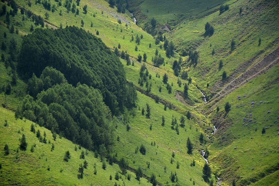 gümüşhane, gümüşhane gezilecek yerler, araköy, kürtün barajı, beytarla köyü