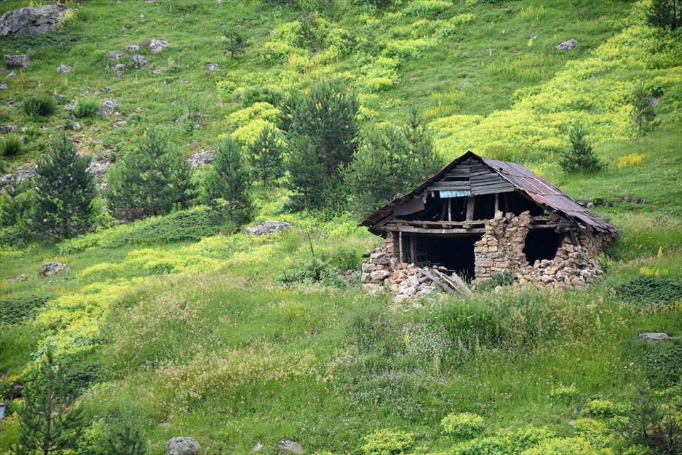 gümüşhane, gümüşhane gezilecek yerler, araköy, kürtün barajı, beytarla köyü