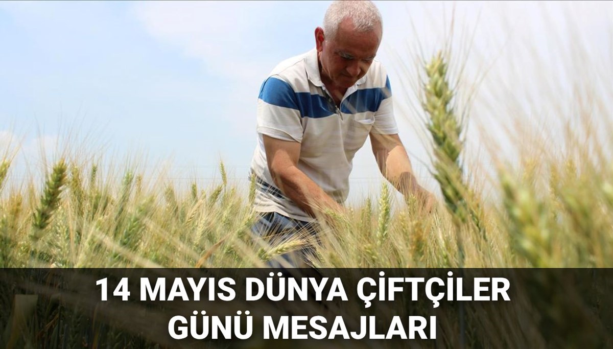 14 Mayıs Dünya Çiftçiler Günü mesajları 2025: En güzel, kısa ve anlamlı çiftçiler günü mesajları 14 Mayıs Dünya Çiftçiler Günü mesajları 2025: En güzel, kısa ve anlamlı çiftçiler günü mesajları