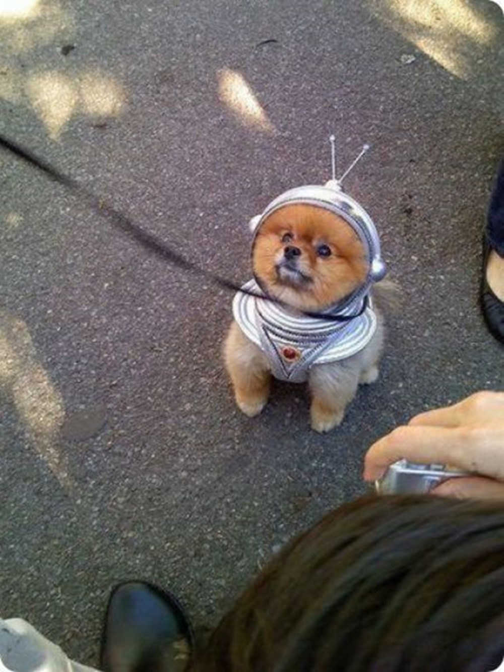 Житейские приколы