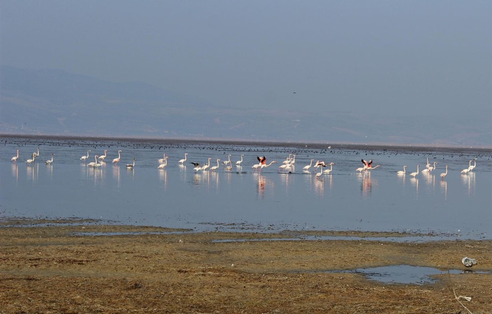 Marmara Gölü''nü kurtaracak proje açıklandı - 11