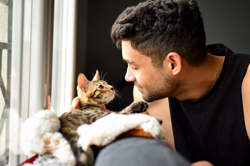 Bilim insanları “açık ilişki”den “eş bağımlılığa” kedilerle insanlar arasındaki 5 ilişki türünü ortaya koydu: Sizin kedilerle aranızda nasıl bir bağ var? - 8