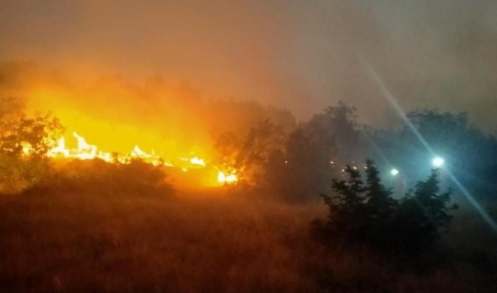 Çanakkale, Tekirdağ ve Diyarbakır'da orman yangını - 11