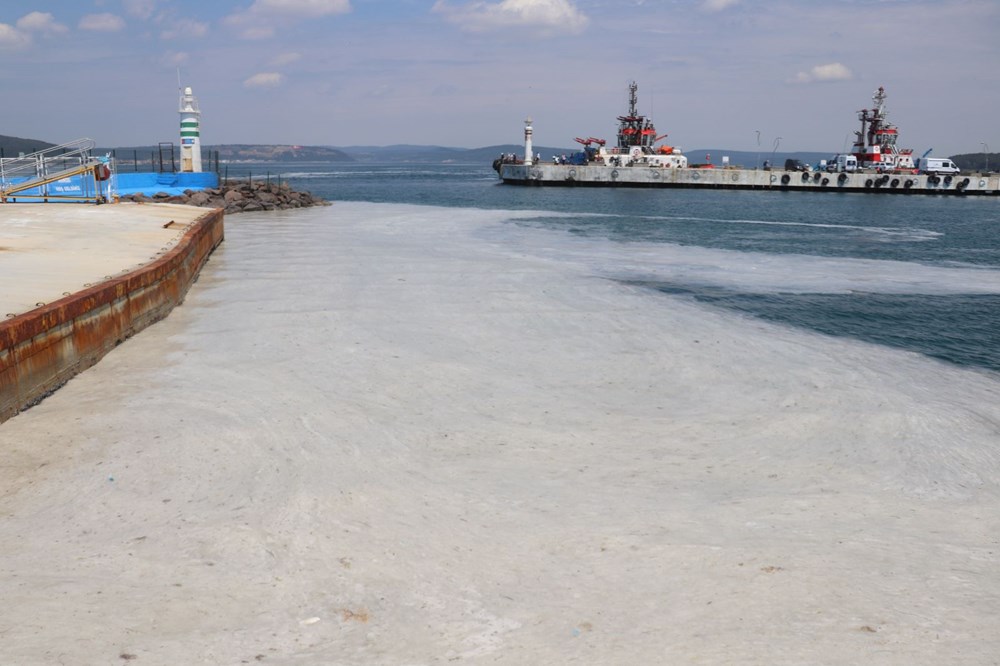 Müsilaj balıklarda zehir etkisi yaratır mı? Uzmanı yanıtladı - 6