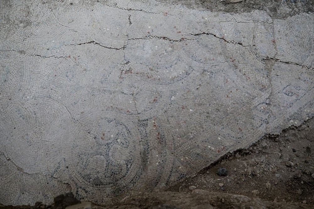 Tarihi mozaikler koruma altına alındı - 5