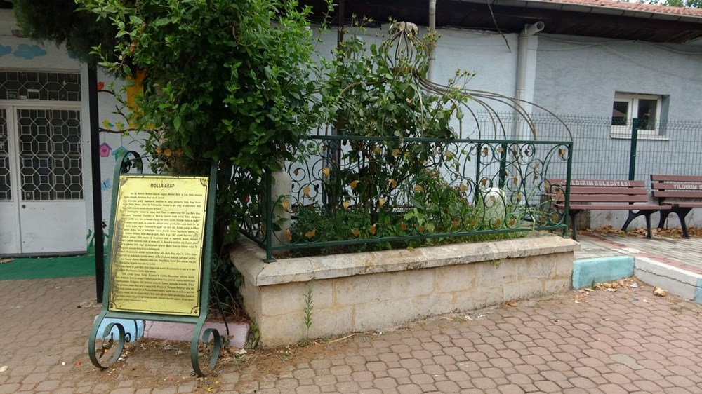 Tarihi unutulmuşluk: Osmanlı âliminin kabri harabeye döndü!