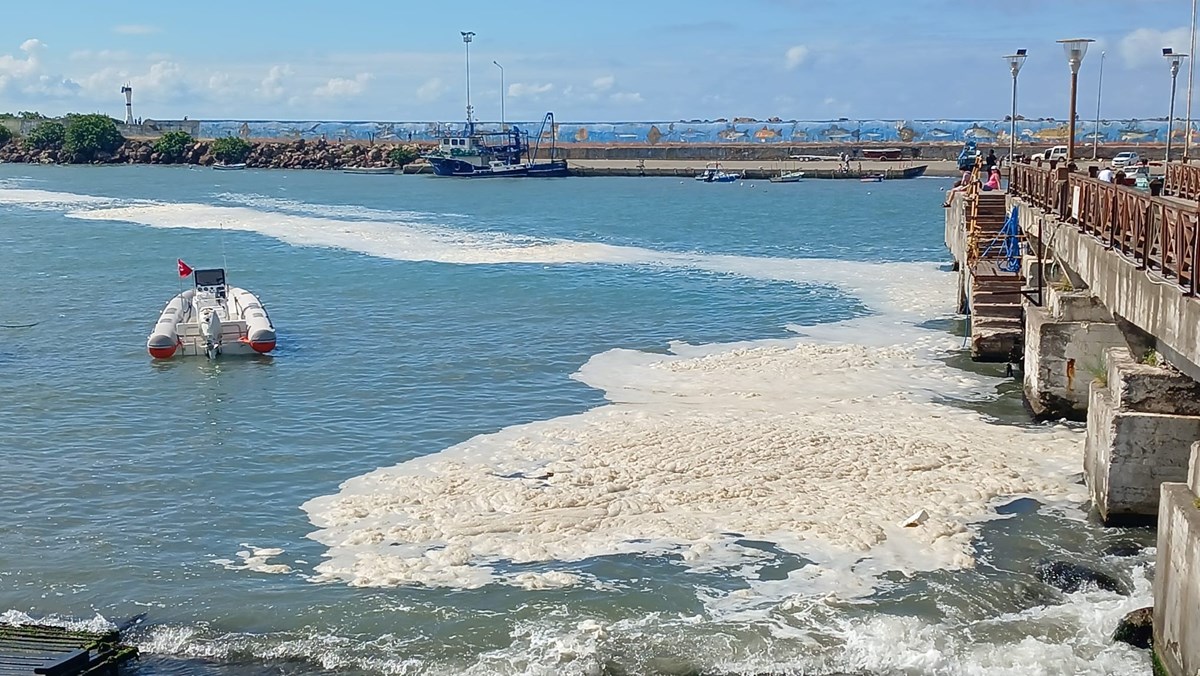 Karadeniz'de müsilaj yayılıyor