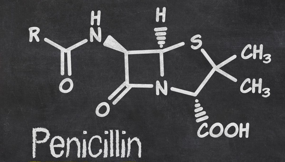 Penisilin mucidi Alexander Fleming kimdir?