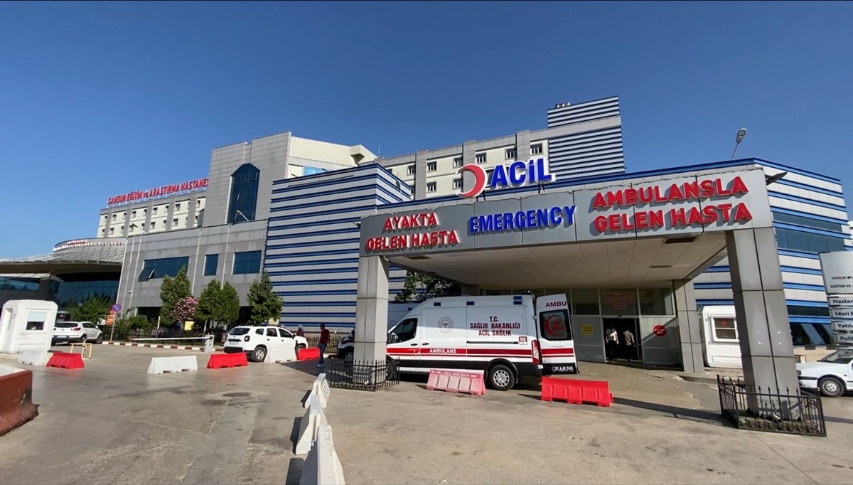Tavuk zehirledi Tavuk zehirledi