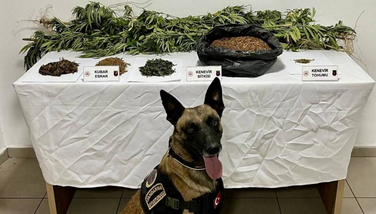 Afyonkarahisar’da uyuşturucu operasyonu