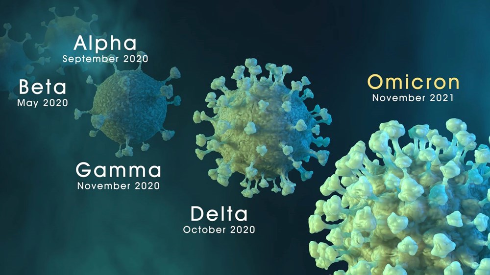 Dördüncü doz corona virüs aşısı Omicron'a karşı koruyor mu? İsrail ilk sonuçları paylaştı - 11