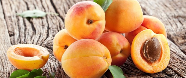 kayısı ile ilgili görsel sonucu