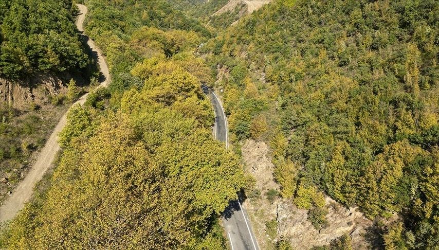 Tekirdağ'daki Ganos Dağı eteklerinde sonbahar güzelliği