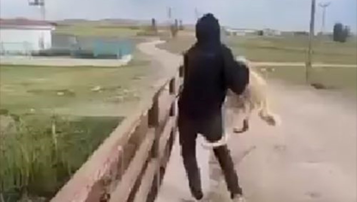 Köpeği köprüden suya atan kişiye işlem yapıldı Köpeği köprüden suya atan kişiye işlem yapıldı