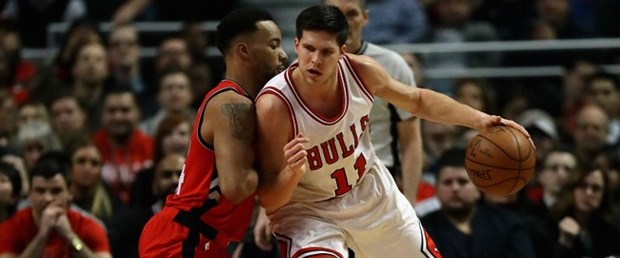 Bulls.jpg