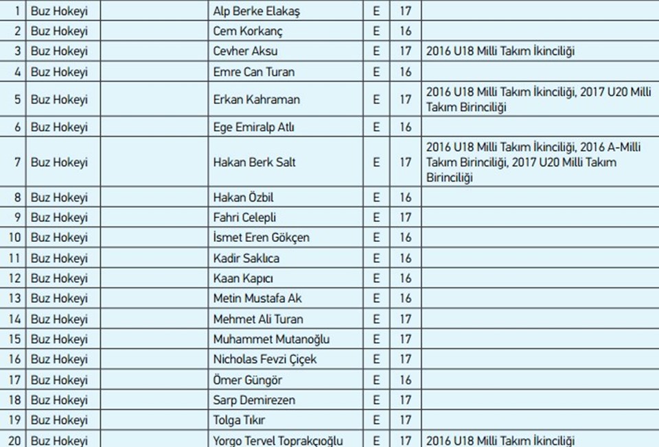 2017 Avrupa Gençlik Olimpik Kış Festivali'nde mücadele eden buz hokeyi milli takımımız.