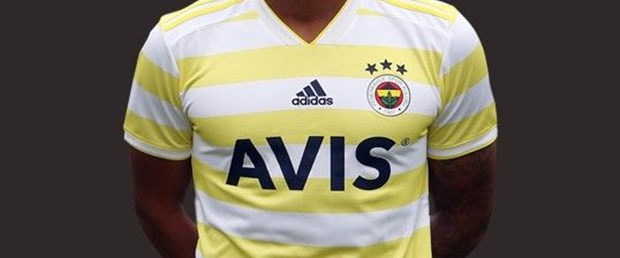 fenerbahçe avis.jpg
