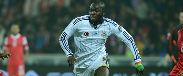 sow