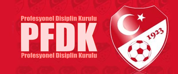 pfdk-19-05-15.jpg