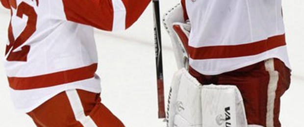 Red Wings yola devam
