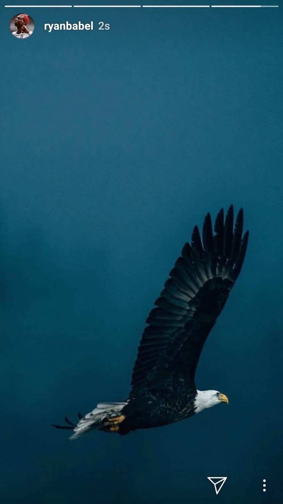 Ryan Babel, sosyal medya hesabından uçan kartal fotoğrafı paylaştı.