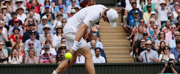 andy murray.jpg