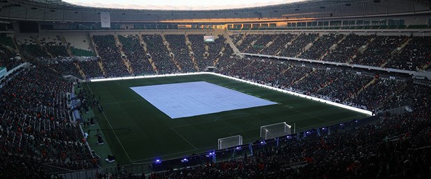 160811-timsah-kafası1.jpg