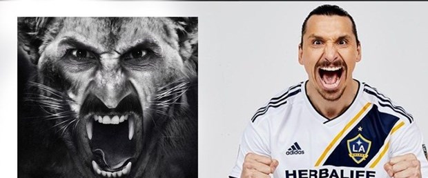 zlatan ac.jpg