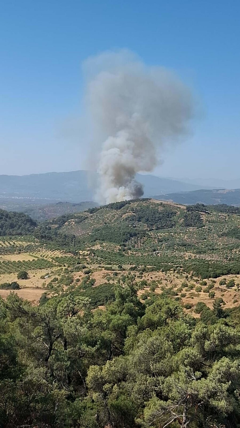 Çanakkale'de yangın büyüyor: Evler ve araçlar zarar gördü, çok sayıda tahliye var - 16