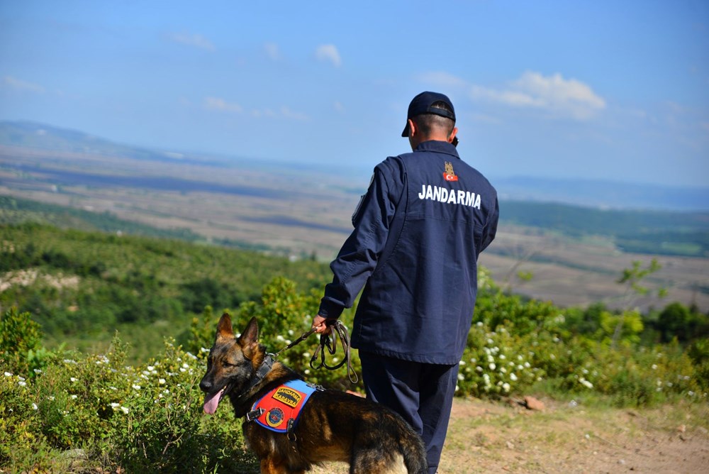 Alan taraması 5'inci günde de devam ediyor: Arama köpeği kafatası parçası buldu - 19