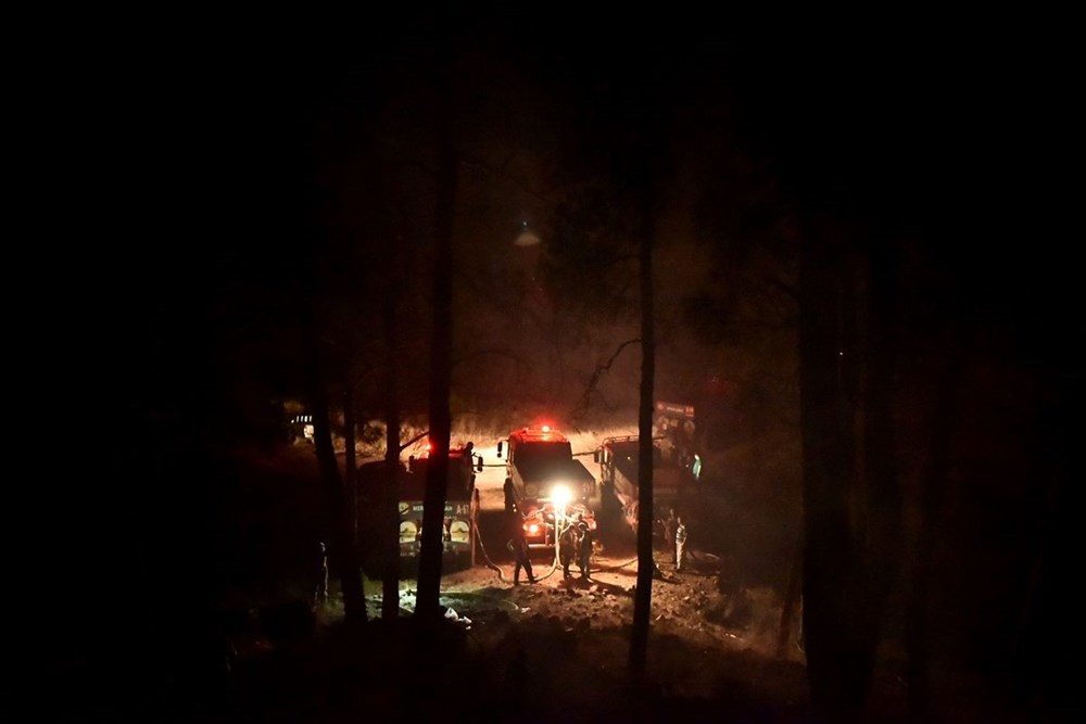 Hatay ve Mersin'de orman yangını - 6