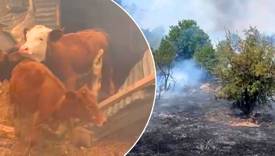 Malatya'da orman yangını: Alevler büyüdü, ekipler olay yerinde