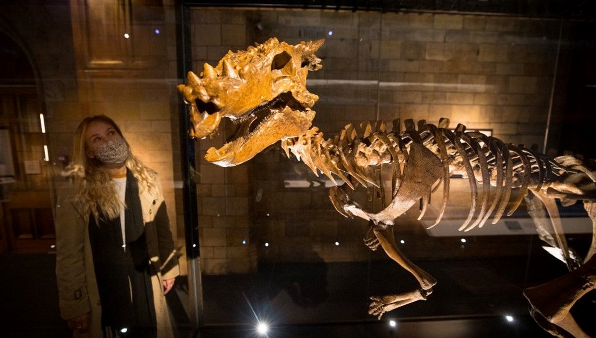 108 milyon yıllık dinozor!